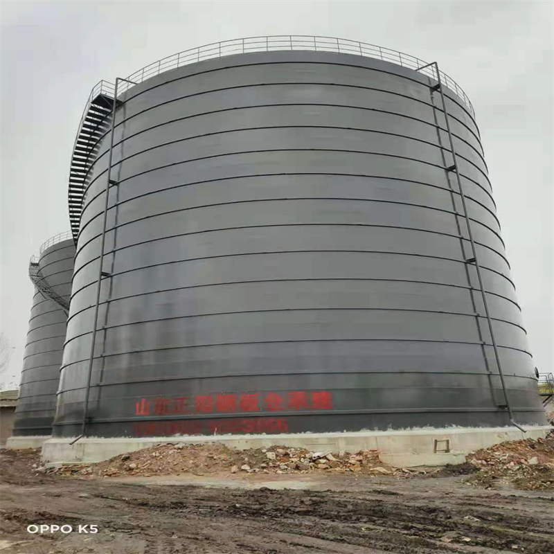 茌平3万吨大型钢板库