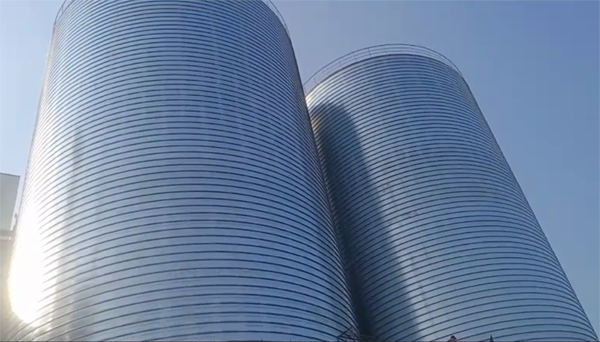 茌平2座混凝土高架卷板仓